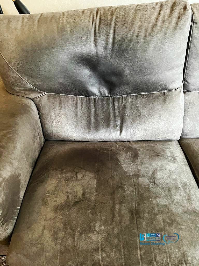 Lavaggio divani Varese