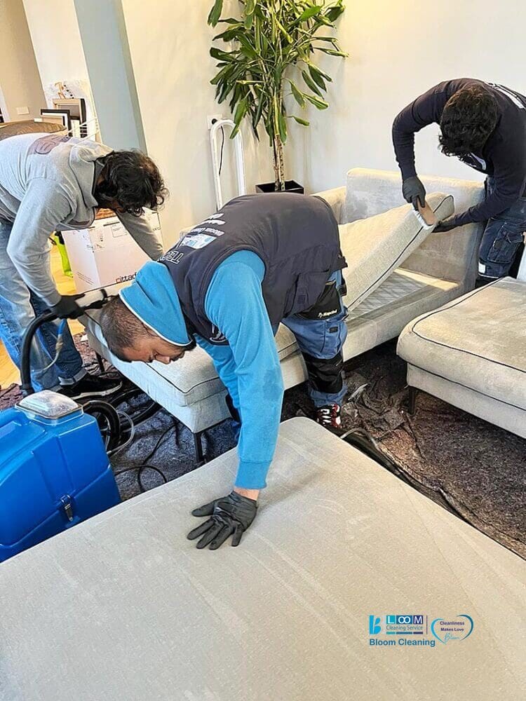 Due uomini di Bloom Cleaning puliscono divani in un salotto di Lodi.