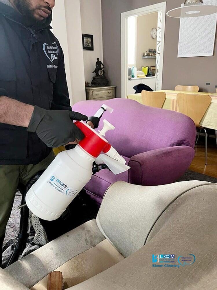 Una donna che usa una bottiglia spray per pulire il divano di una casa a Pavia.