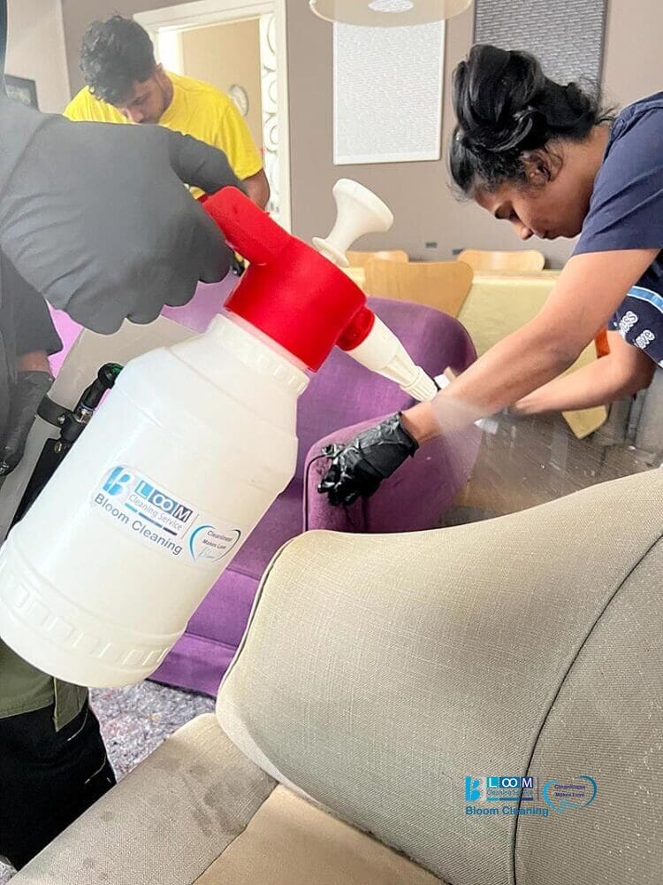Una donna che usa una bottiglia spray per pulire il divano di una casa a Pavia.