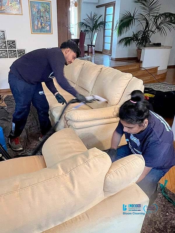 Due persone di Bloom Cleaning stanno pulendo meticolosamente un divano beige in un soggiorno con pavimento in legno e piante decorative in vista.