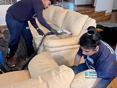 Due persone di Bloom Cleaning stanno pulendo meticolosamente un divano beige in un soggiorno con pavimento in legno e piante decorative in vista.