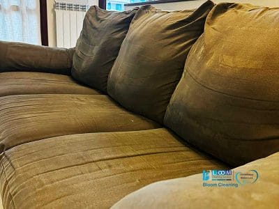 Un divano beige campeggia elegantemente nel soggiorno, con una parete-galleria e una bacheca ricoperta di foto sullo sfondo, il tutto mantenuto intatto dal tocco esperto di Pulizia Divani.