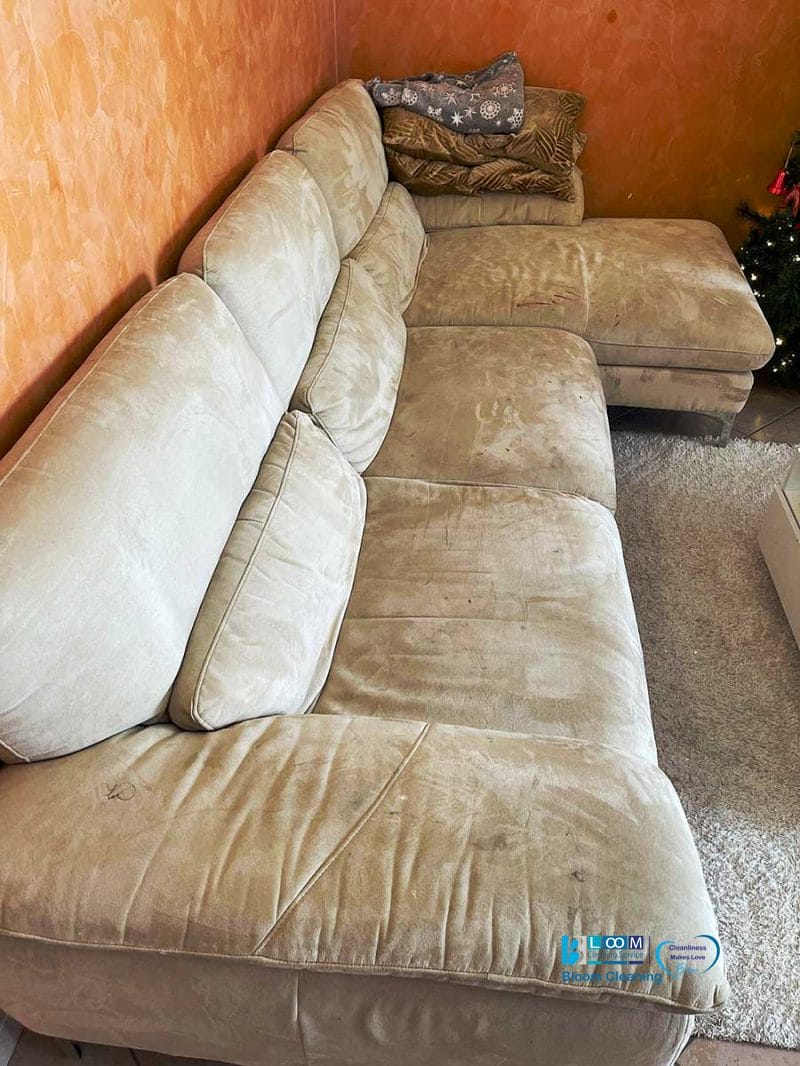 Un amato divano componibile beige è adagiato contro una parete arancione, che ne mette in mostra il carattere. Tre cuscini decorativi abbelliscono un'estremità, mentre un soffice tappeto aggiunge comfort sotto. Questa configurazione crea un angolo invitante, pronto per il relax o una conversazione informale, una vera bozza automatica di design accogliente per spazi abitativi.