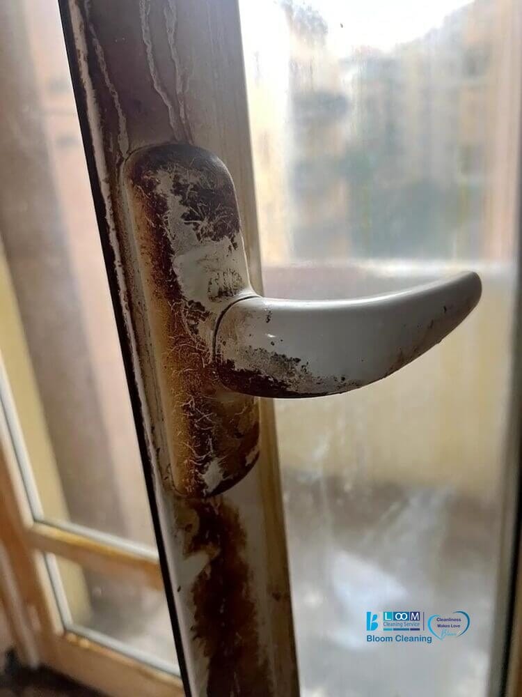 Primo piano di una maniglia arrugginita e sporca attaccata al telaio di una finestra, con dettagli di Bozza automatica, con una scena esterna sfocata visibile attraverso il vetro sullo sfondo.