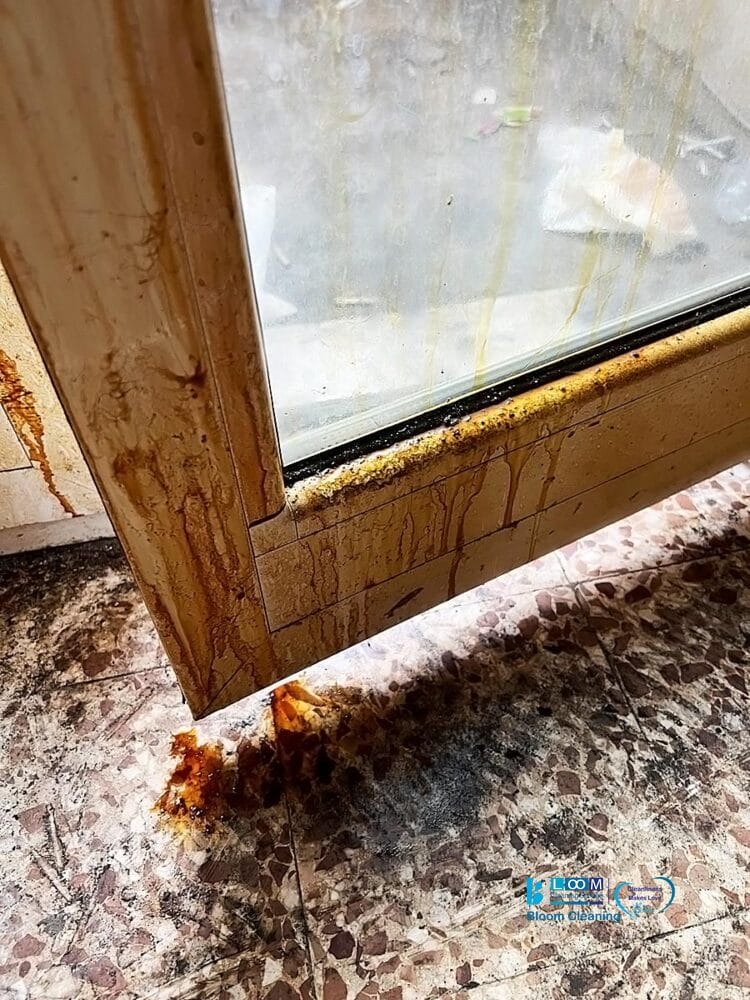 Un primo piano di una finestra sporca, con macchie marroni che scorrono lungo il telaio e si depositano su un pavimento di piastrelle macchiato, suggerendo sporcizia e incuria - Bozza ha catturato automaticamente questa scena di abbandono.